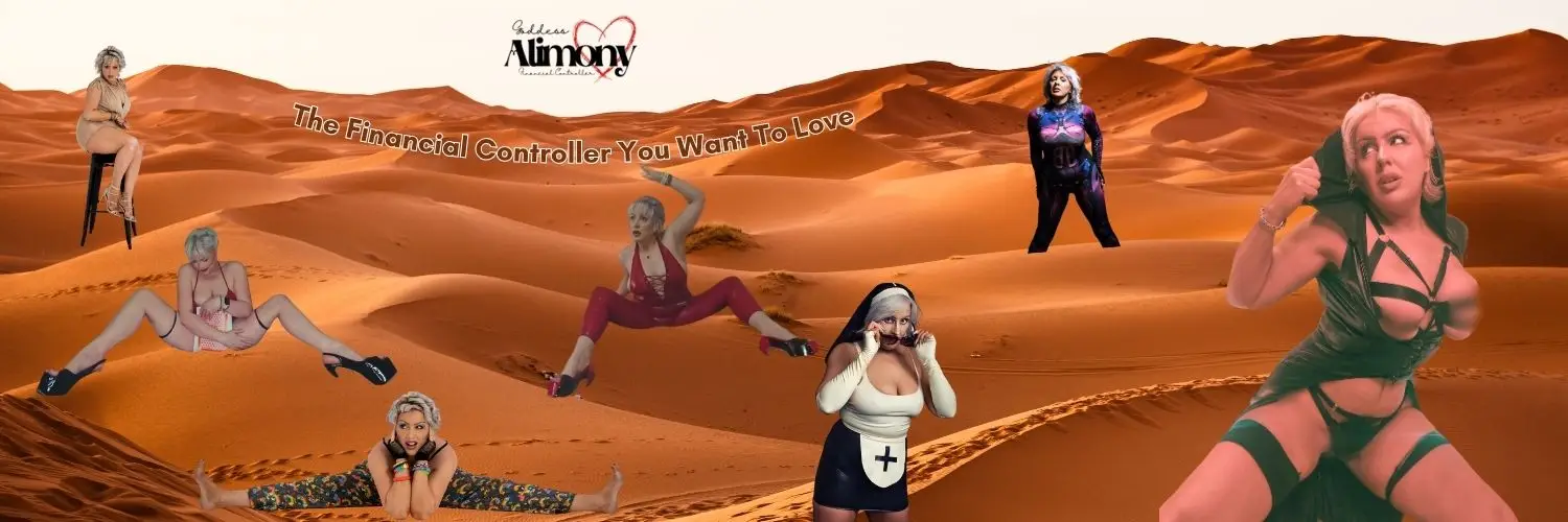 PayAlimony's profile banner