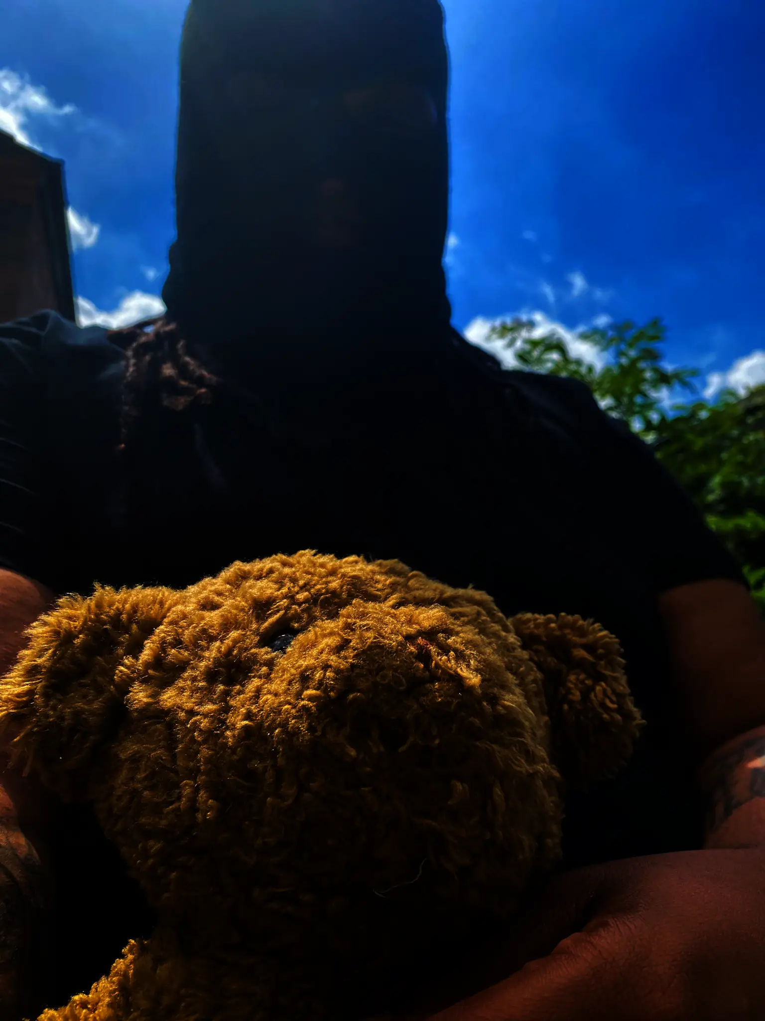 BFGTEDDYBEAR's profile picture