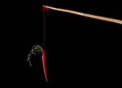 Dr. Shiva's profile picture