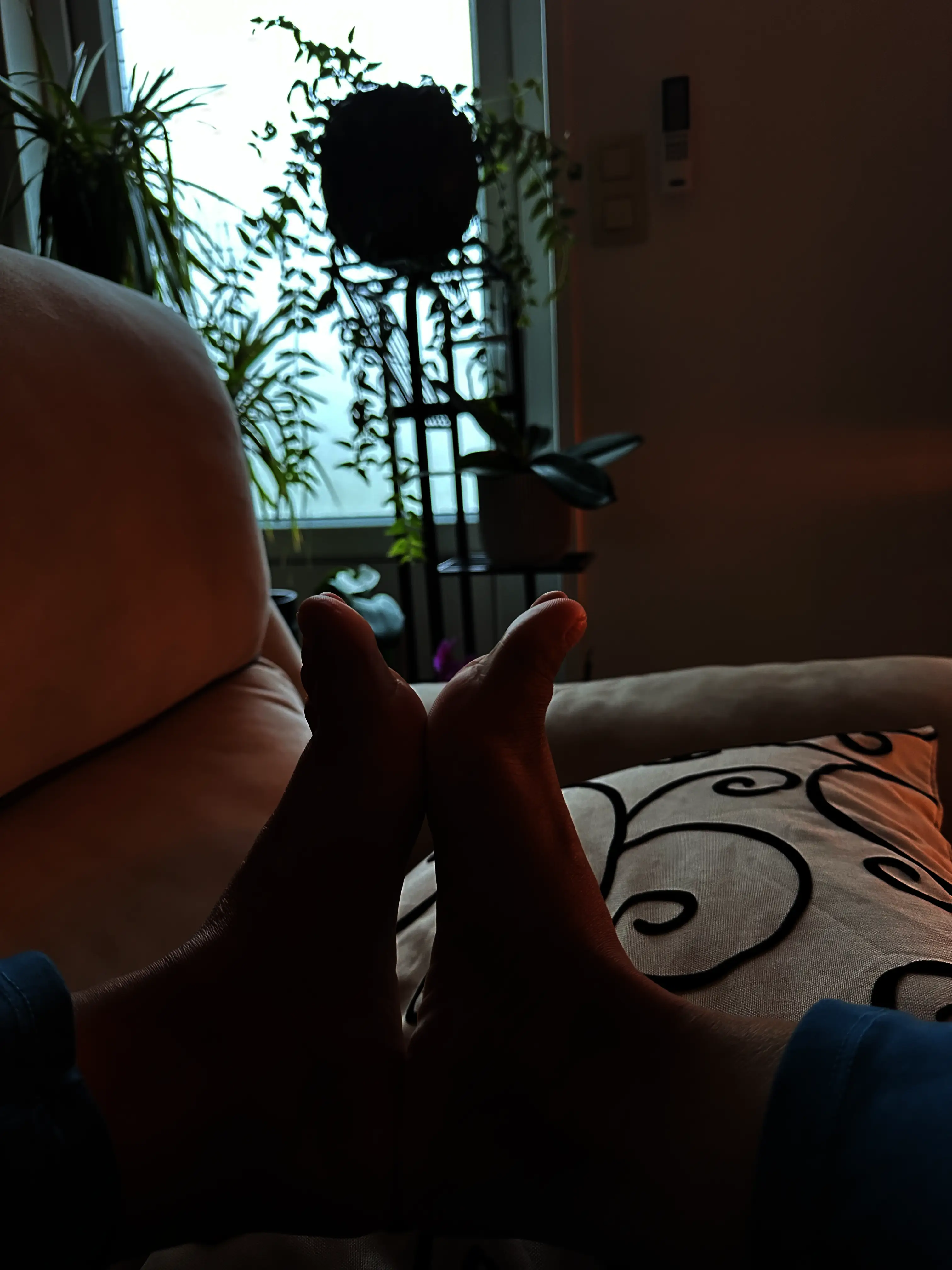 AsianFeet's profile picture