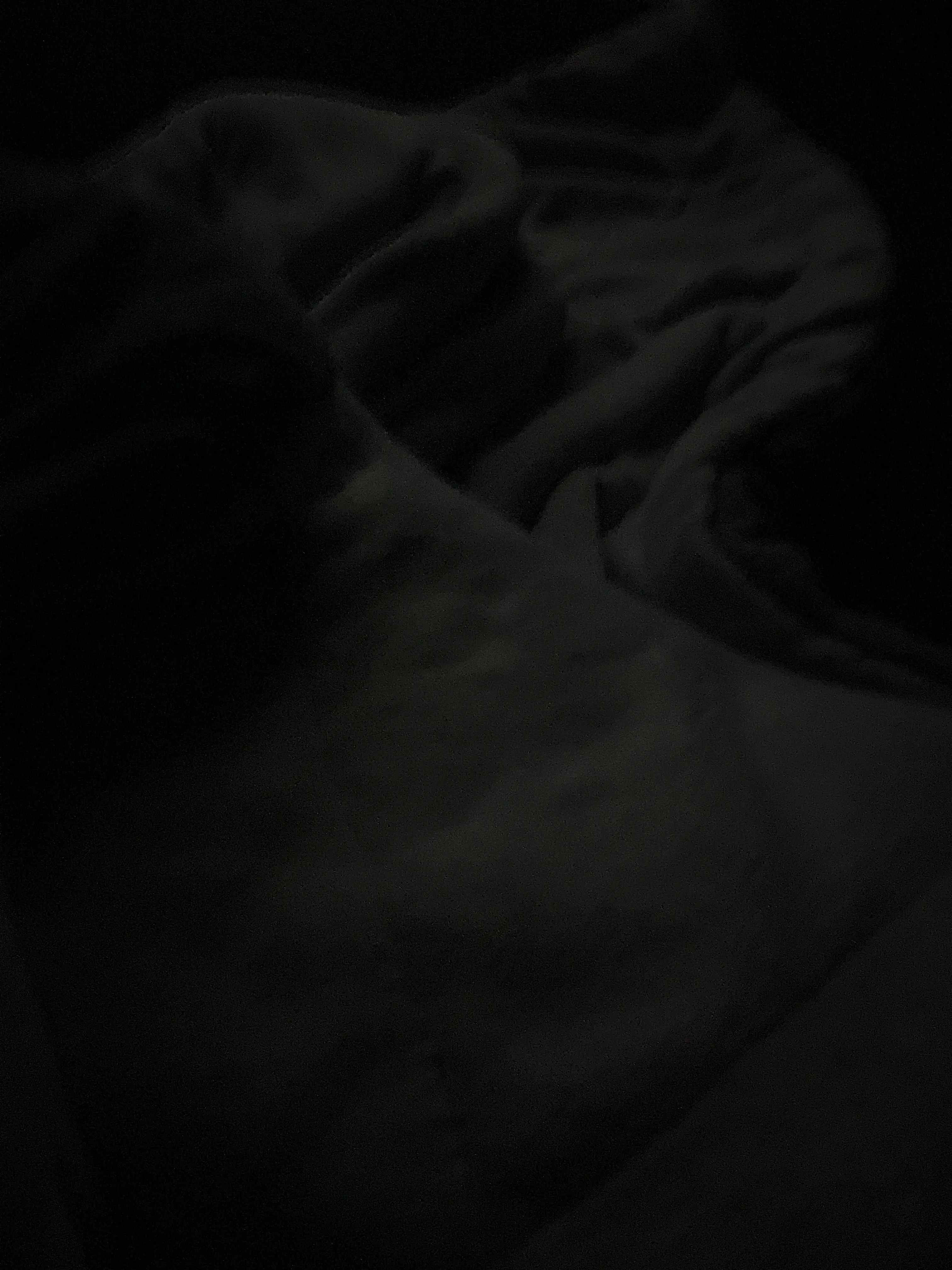 your best fet latina's profile banner